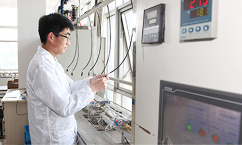 公司團(tuán)隊(duì)